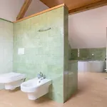 Apartma Natura Apartment