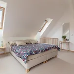 Apartma Natura *