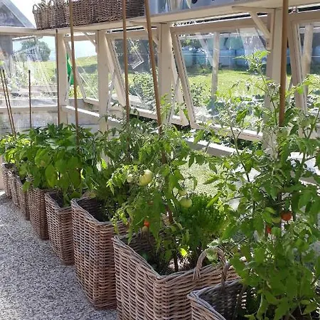 Apartmán Apartma Natura *